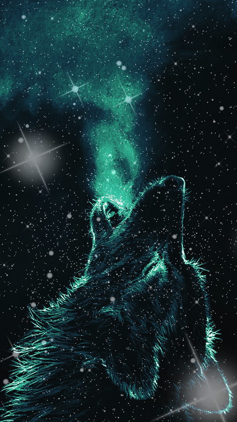 Wolf, stars, HD phone wallpaper | Peakpx