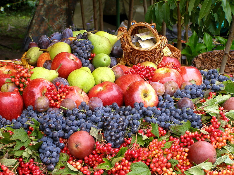 Variety Of Fruits, other, HD wallpaper