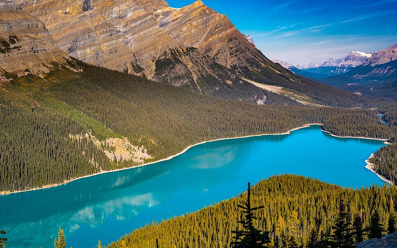 Peyto Lake in Banff National Park, Alberta, water, rocks, forest, mountains, canada, HD wallpaper
