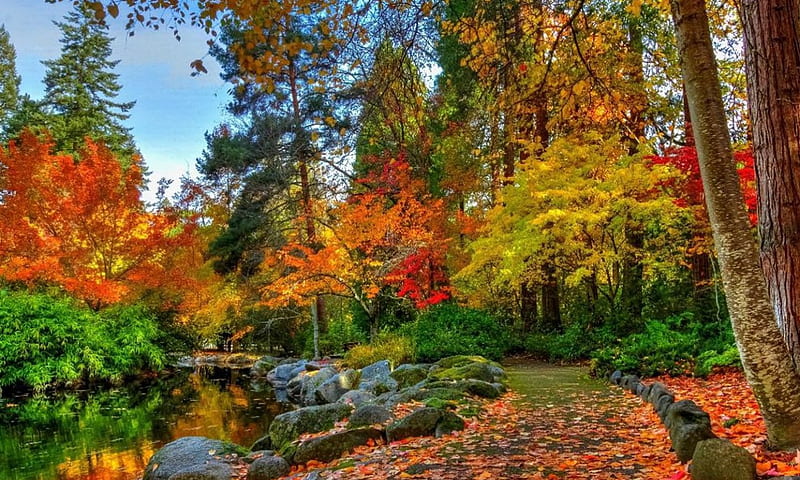 Màu sắc mùa thu, rừng, HD wallpaper: Bộ sưu tập ảnh wallpaper của chúng tôi sẽ giúp bạn trang trí màn hình máy tính của mình với những hình ảnh tuyệt đẹp về mùa thu, rừng và những màng trời đầy màu sắc. Những bức ảnh này được chọn lọc cẩn thận và có chất lượng HD để bạn có thể tận hưởng đầy đủ màu sắc và chi tiết của từng phong cảnh.