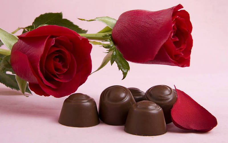Rose and Chocolate, red, rose, chocolate, flowers, fod, HD wallpaper |  Peakpx