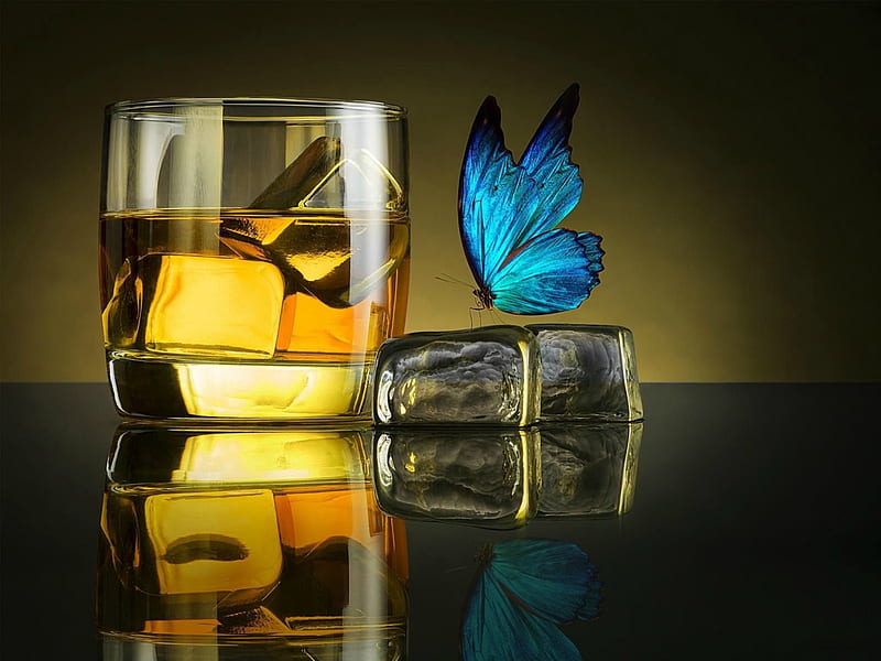 Butterfly ~ Drink, ice cubes, glass, butterfly, ice, drink, liquor, HD wallpaper