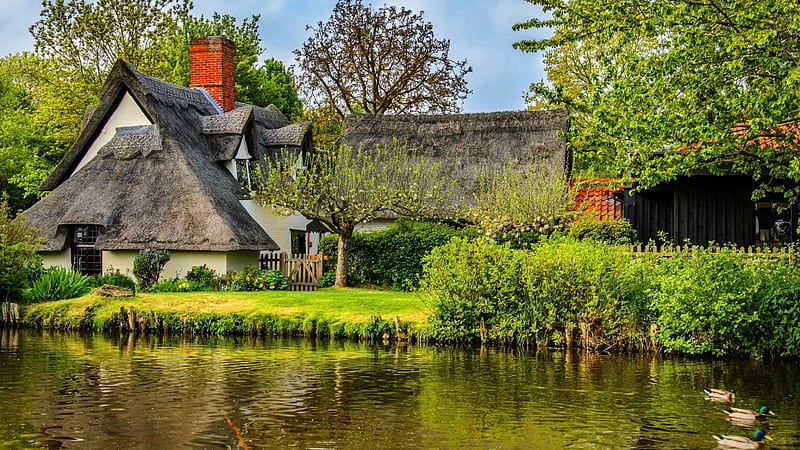 English countryside scene, Trees, Rural, Riverside, Thatch, Cottage, England, HD wallpaper