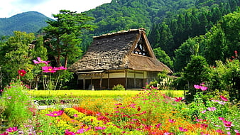 Shirakawa Village House, Japan, forest, huts, house, cottage ...