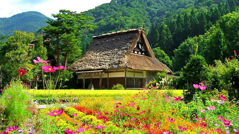 Shirakawa Village House,Japan, forest, huts, house, cottage, greenery, spring, mountains, flowers, nature, meadow, HD wallpaper