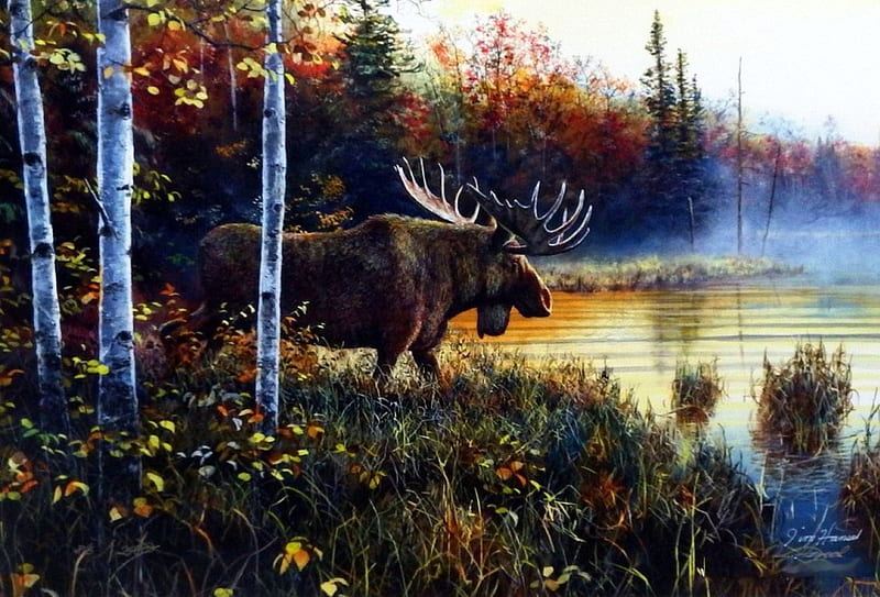 Master of his Domain, fall, moose, autumn, colors, sunset, trees, lake, artwork, painting, HD wallpaper