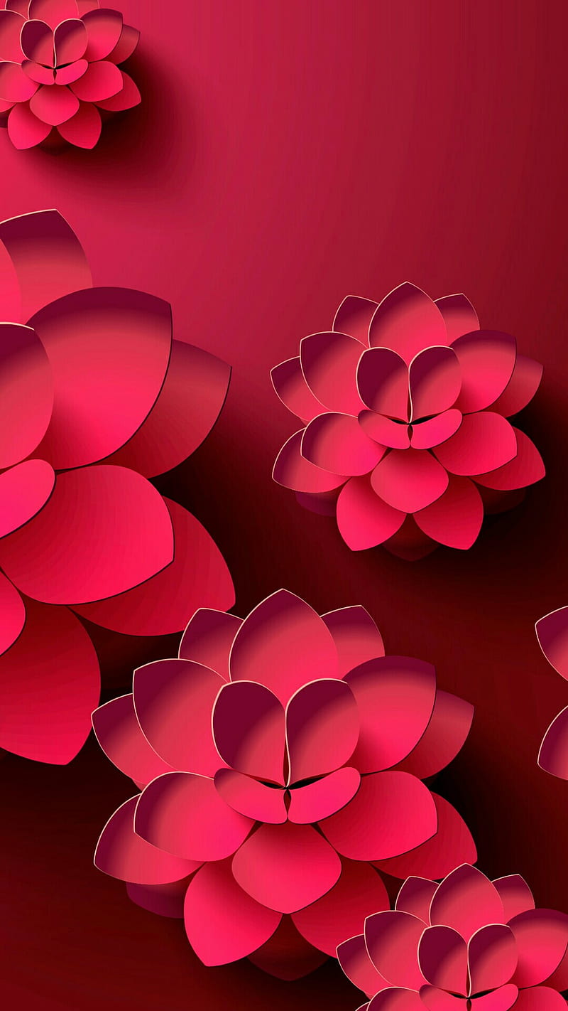Flower, red, HD phone wallpaper