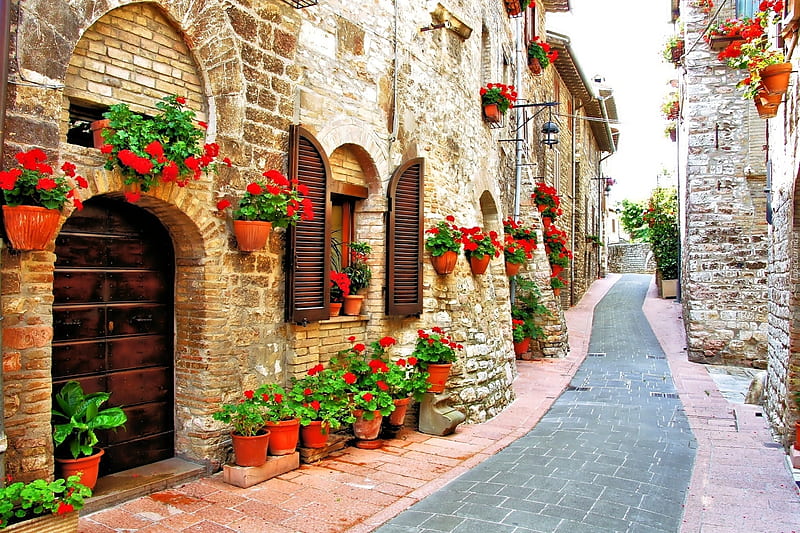 stone street, flowers, architecture, streets, stone, graphy, HD wallpaper