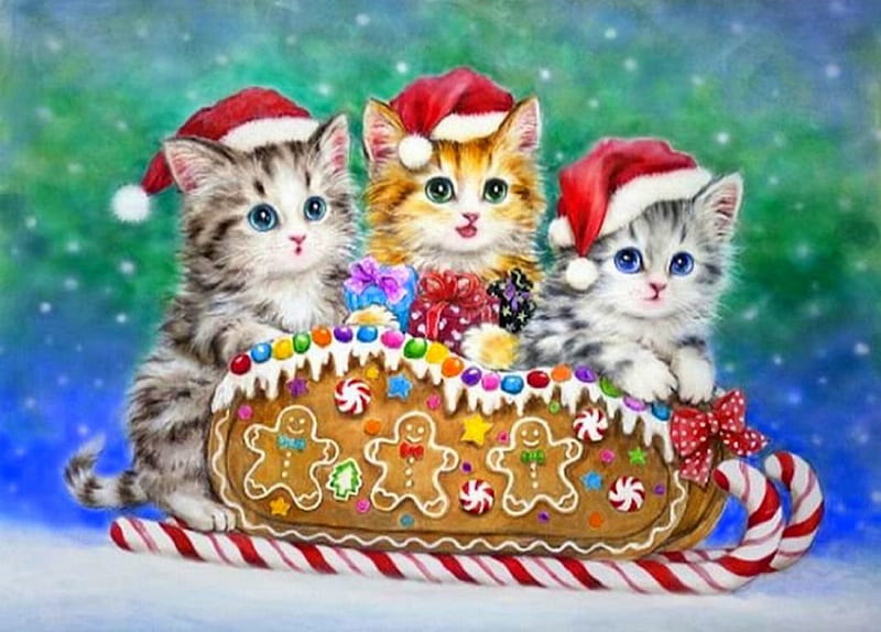 Christmas Candy, candy, pretty, draw and paint, holidays, jolly, adorable, xmas and new year, sledding, animals, hats, lovely, christmas, colors, love four seasons, creative pre-made, joy, winter, cute, weird things people wear, cats, kitten, HD wallpaper