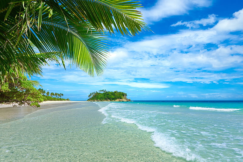 Tropical beach, rest, vacation, exotic, ocean, breeze, bonito, waves, sky, palms, sea, beach, paradise, tropical, HD wallpaper