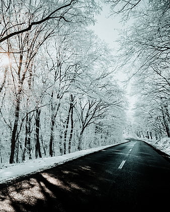 Rugova On Winter, kosova, landspace, nature, peja, road, trees, white ...