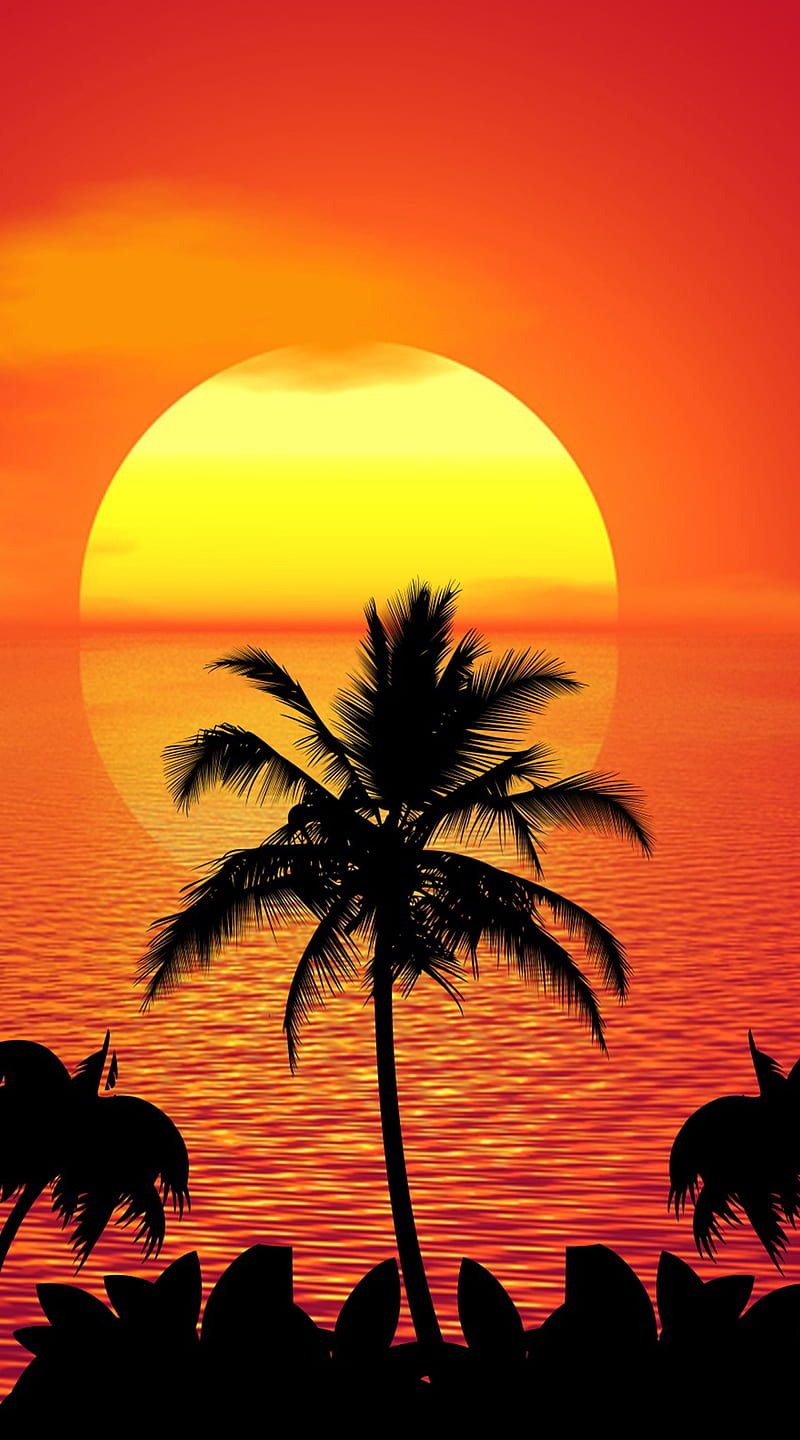 Beach Sunset, 1080, , Tupac2x, bikini, full, HD phone wallpaper
