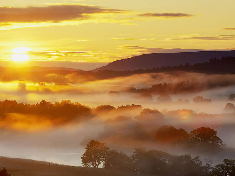 Glorious, countryside, sun, trees, clouds, sky, field, fog, mist, HD wallpaper