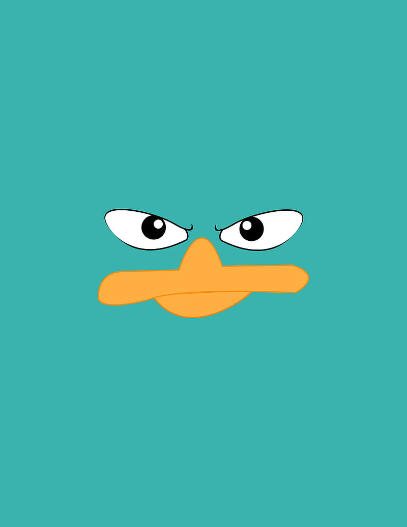 duck, face, beak, eyes, vector, HD phone wallpaper