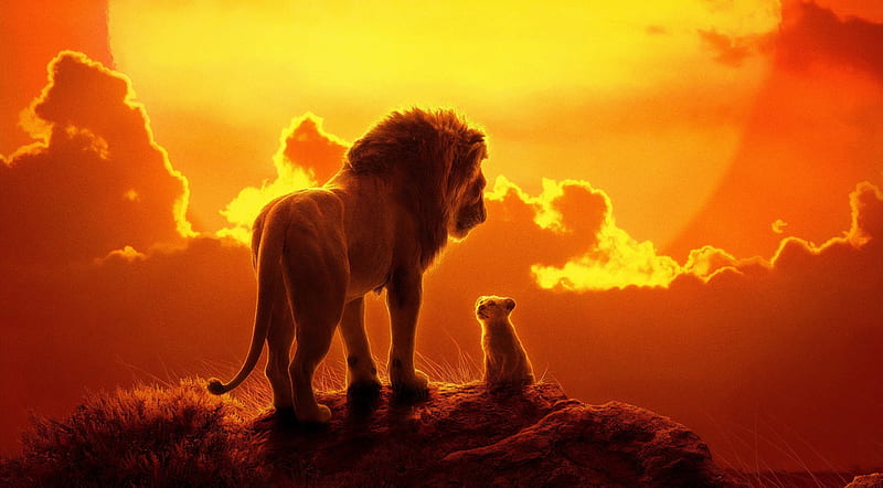 The Lion King 2019 Ultra, Cartoons, , Lion, Film, 2019, simba, HD wallpaper