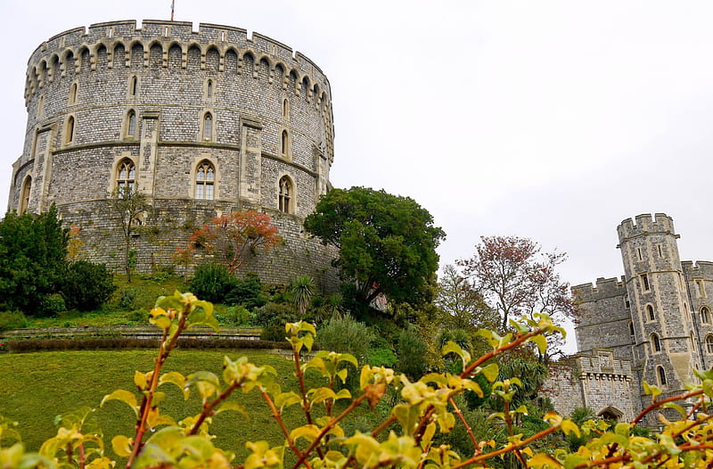 Windsor Castle, England, building, walls, ancient, kingdom, big tower, HD wallpaper