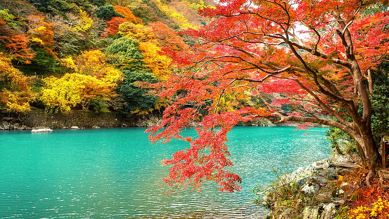 Earth, Fall, Arashiyama, japan, Kyoto, Lake, Nature, Park, HD wallpaper