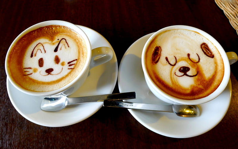COFFEE for TWO, spoon, saucer, desenho, cat, pets, two, coffee, cup, face, dog, HD wallpaper