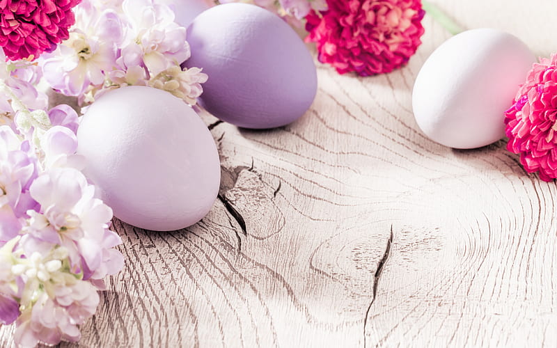 Easter, purple Easter eggs, spring, dahlias, spring flowers, Easter background, wood background, Easter frame, HD wallpaper