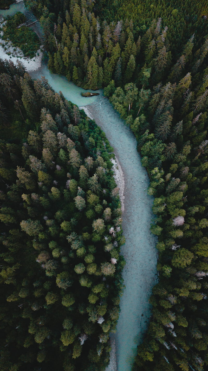 river, aerial view, winding, trees, forest, HD phone wallpaper
