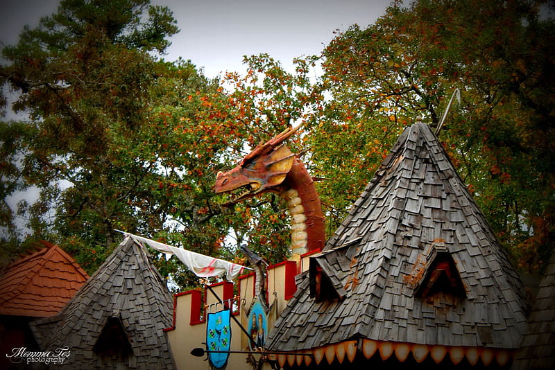 There's A Dragon at the Fare!, festival, art, texas, renaissance, dragon, wood, sculpture, HD wallpaper