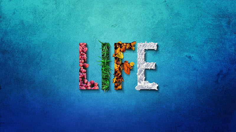 Life Typography , life, typography, HD wallpaper