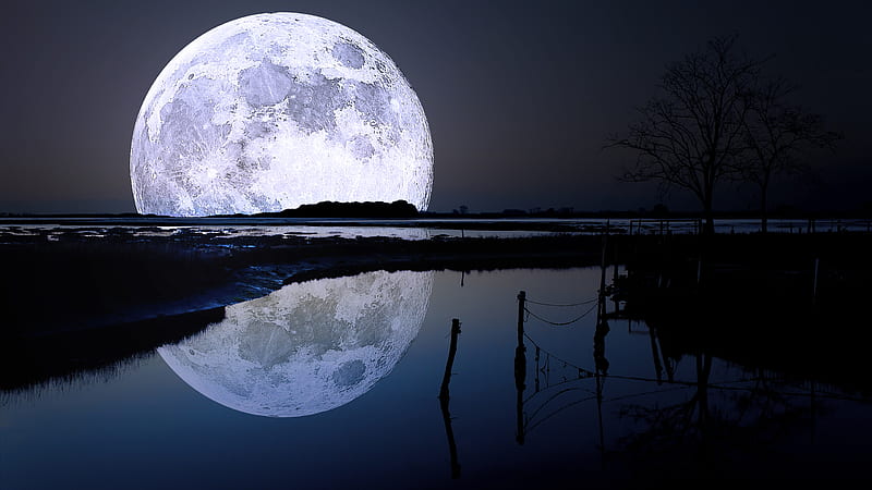 Moonset, fence, pretty, lunar, bonito, rising, graphy, calm, moon, bright, beauty, reflection, scenery, wood, blue ball ball, horizon, moon, view, glowing, lake, tree, water, planet, dark, moonlight, peaceful, nature, scene, landscape, HD wallpaper