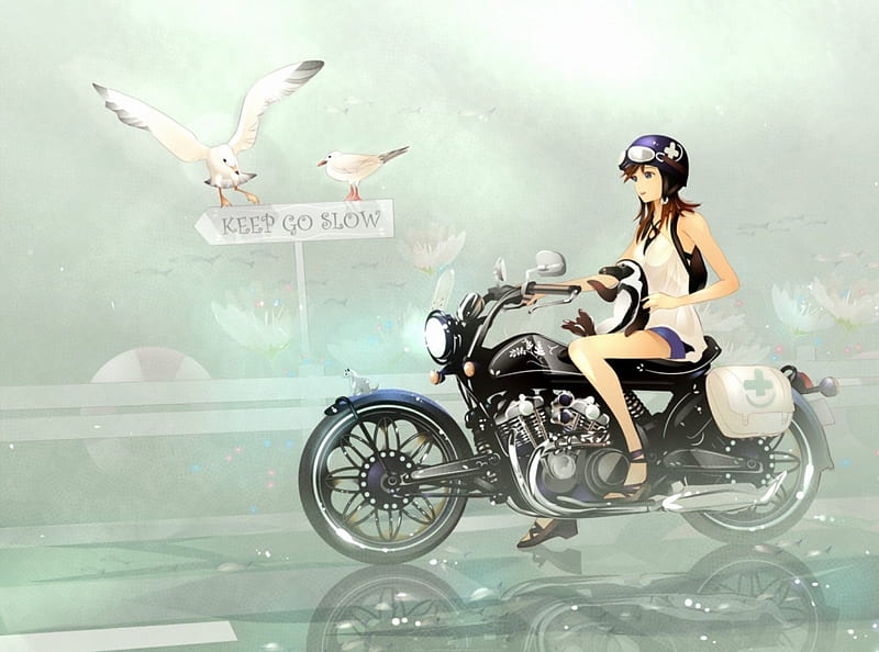 A Girl on a Motorcycle, art, motorcycle, birda, animal, nice, col, reflaction, shorts, awesome, bruntess, anime girl, HD wallpaper