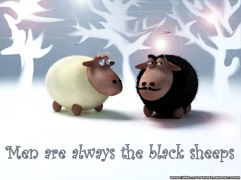 Men are Always the Black Sheep, black, sheep, white, HD wallpaper