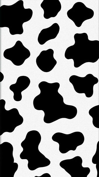 Cow, animal, HD phone wallpaper