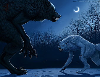 Mayan Watson on Awesome!. Wolf , Anime art, Anime Werewolf HD wallpaper |  Pxfuel