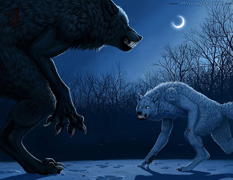 HD anime werewolf wallpapers | Peakpx