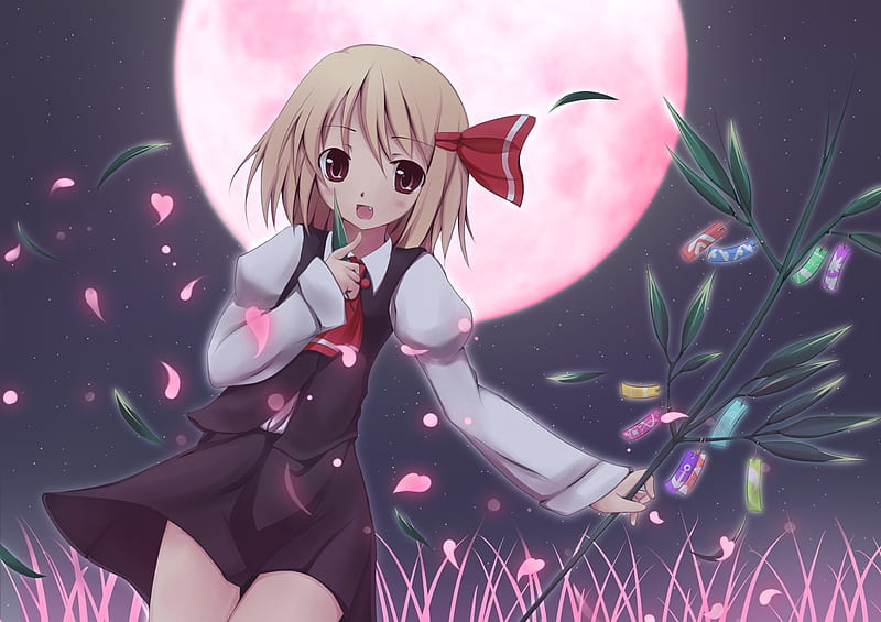 mysterious night~, glow, red moon, pink moon, touhou, fields, petals, rumia, night, HD wallpaper