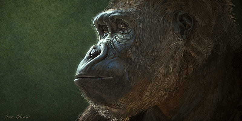Gorilla, monkey, primate, art, fantasy, green, portrait, animal, HD wallpaper