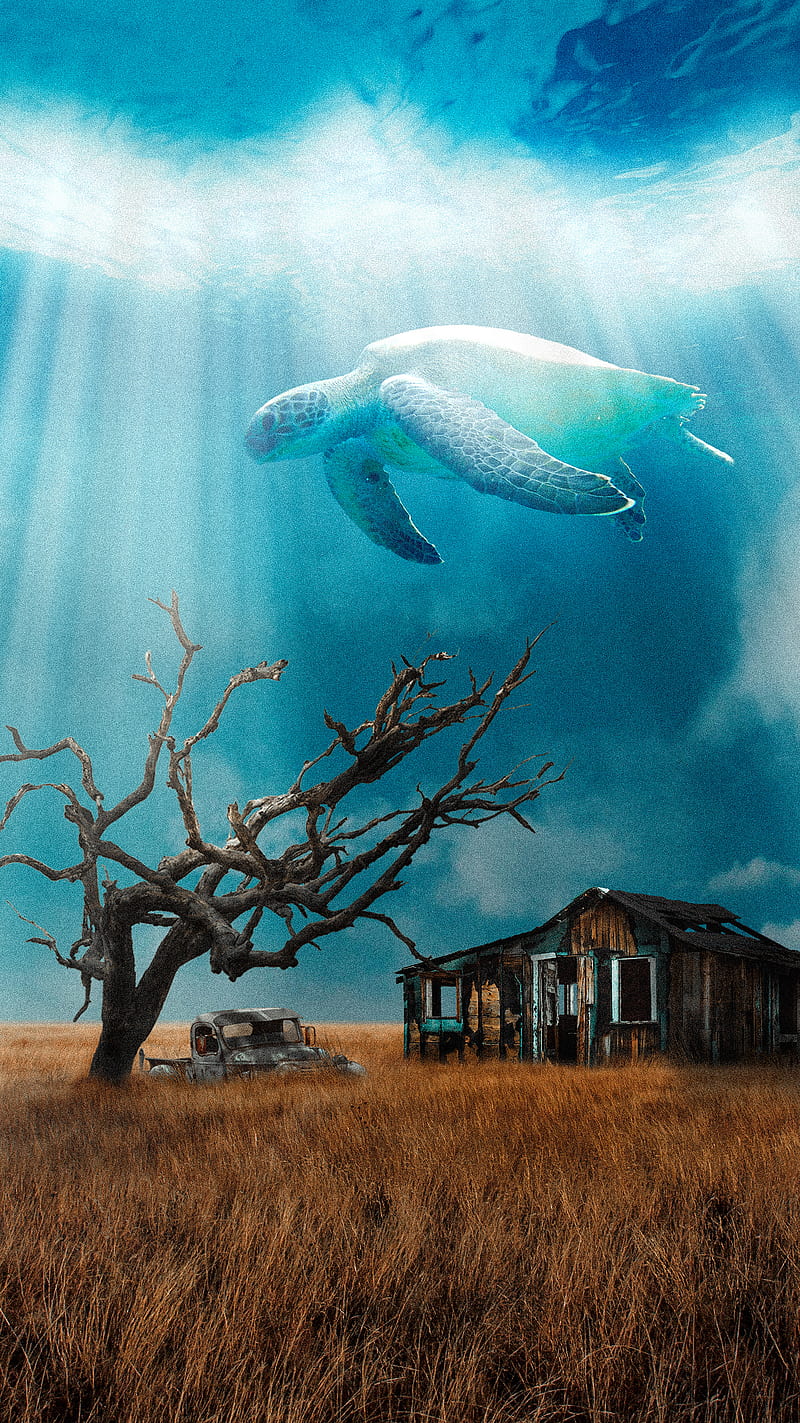The Cyan Turtle, acuatic, animals, blue, sky, fly, ocean, surrealistic, swin, HD phone wallpaper