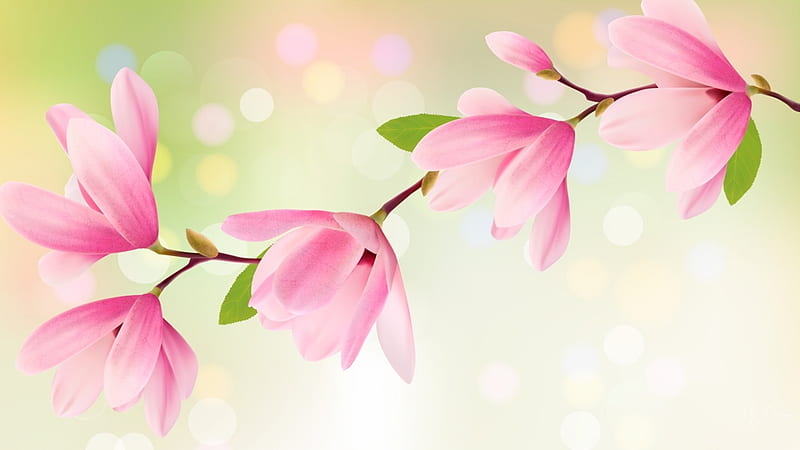 Tulip Tree, tree, bokeh, flowers, pastel, spring, delicate, linodendron