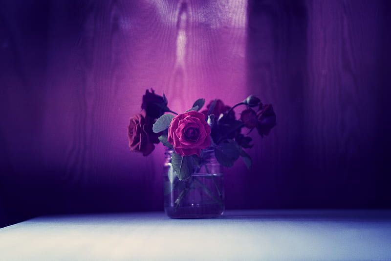 of Red Roses on Clear Glass Jar, HD wallpaper
