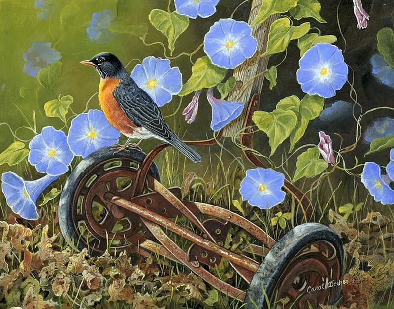 American Robin, bird, painting, flowers, blossoms, garden, artwork, mower, HD wallpaper