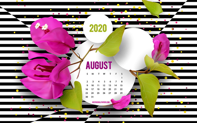 2020 August Calendar, background with flowers, creative art, August, 2020 summer calendars, black and white striped background, August 2020 Calendar, purple flowers, HD wallpaper