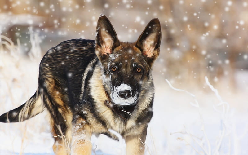 Shepherd dog, puppy, art, dog, Eastern European Shepherd Dog, HD wallpaper