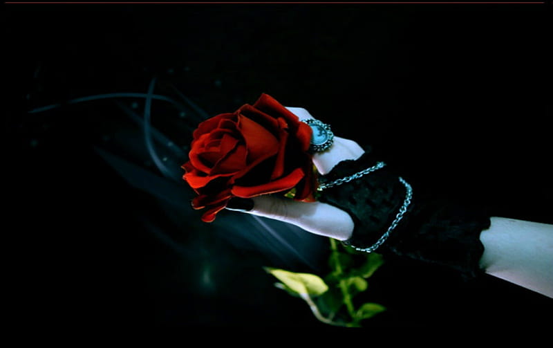 GOTHIC ROSE 2 Black, Red, Rose, Gothic, Fantasy, dark, HD wallpaper