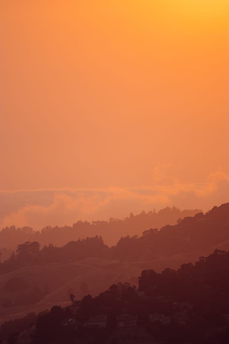 sunset, hills, trees, sky, HD phone wallpaper