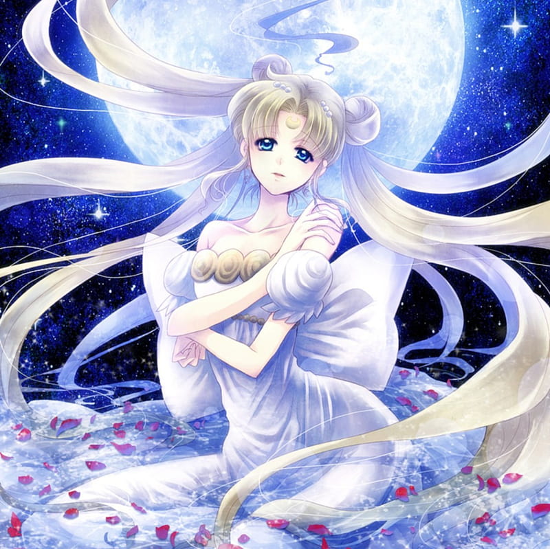 Princess Serenity, pretty, cg, sweet, nice, anime, royalty, sailor moon, beauty, anime girl, long hair, lovely, twintail, gown, amour, serenity dress, divine, adore, bonito, elegant, twin tail, moon, sailormoon, gorgeous, female, twintails, twin tails, girl, petals, silver hair, princess, HD wallpaper
