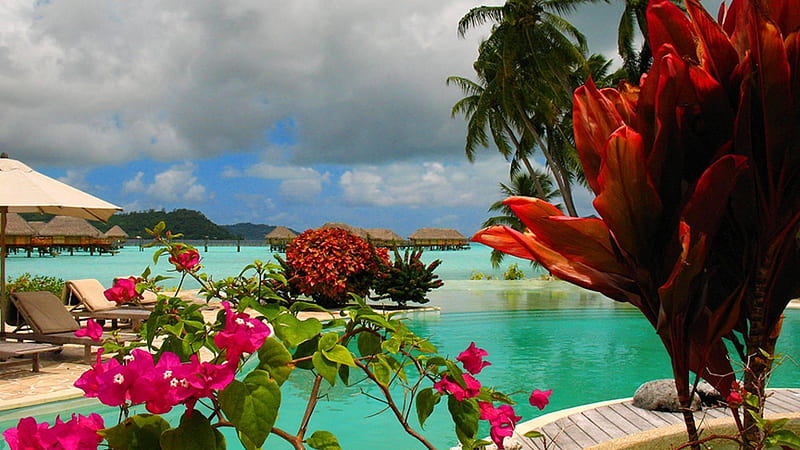 Blue Lagoon at Bora Bora, exotic, french, lagoon, swiming, bora bora, paradise, cub, flowers, nature, island, blue, HD wallpaper