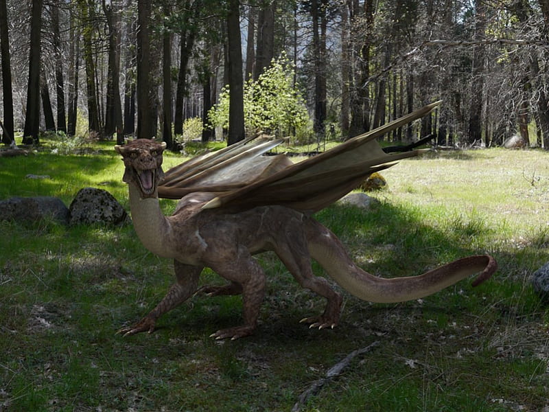 Dragon in wood I, ibl, Dragon, wood, light, HD wallpaper Dragon in wood I, ibl, Dragon, wood, light, HD wallpaper