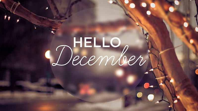 Hello December Letters In Decoration Lights On Tree Branches Background December, HD wallpaper