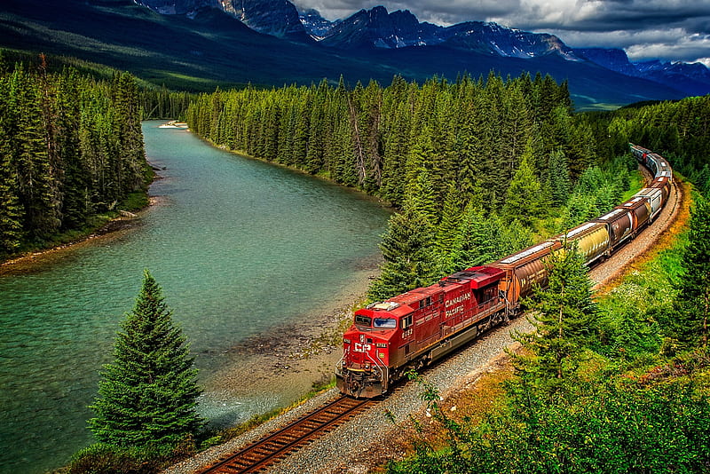 Rsil in forest, Train, Forest, Rail, Locomotive, HD wallpaper