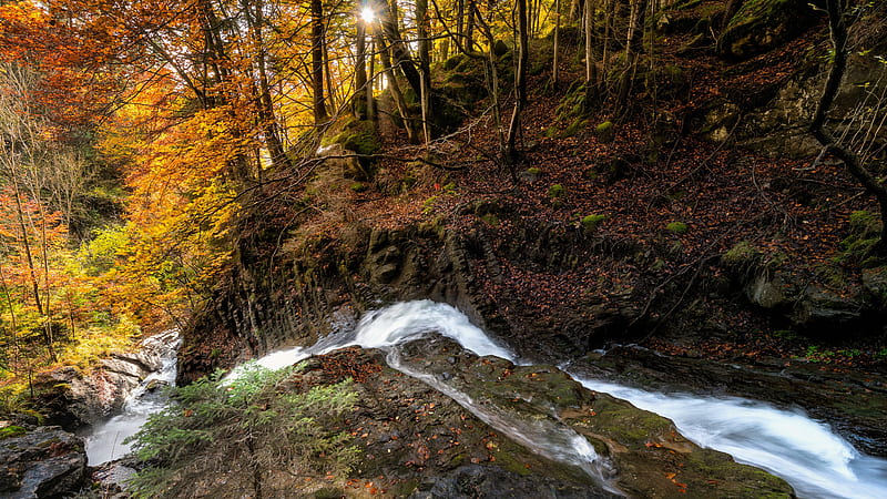 Water Stream Between Rocks Around Trees Nature, HD wallpaper