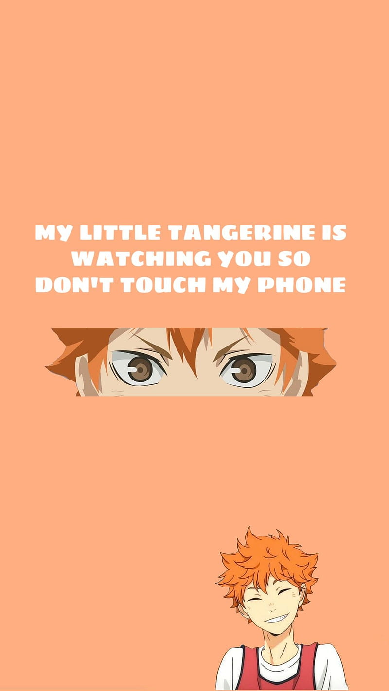 Hinata, cute, dont touch my phone, HD phone wallpaper | Peakpx