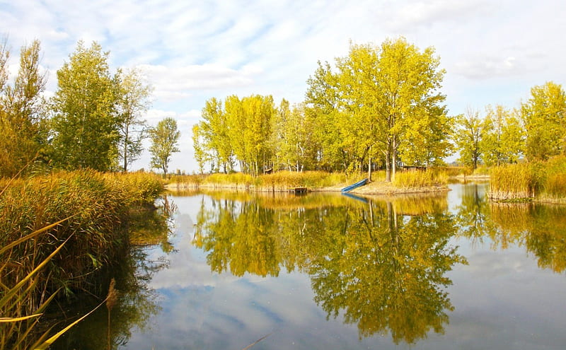 *** Autumn trees around the lake ***, jnatura, jesienne, jezioro, drzewa, HD wallpaper